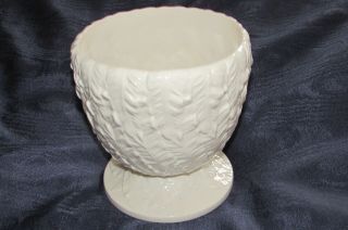 Antique Irish Belleek Porcelain 1st Period Black Mark Fern Plant Pot