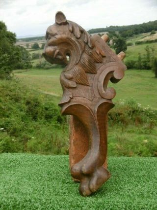 19thc GOTHIC OAK CARVED LION WITH CLAW FOOT CORBEL C.  1870 ' s 3