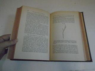 Antique 1872 Medical Book,  Human Histology Vol.  II 3