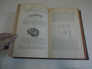 Antique 1872 Medical Book,  Human Histology Vol.  II 5