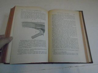 Antique 1873 Medical Book,  Human Histology Vol.  III 3
