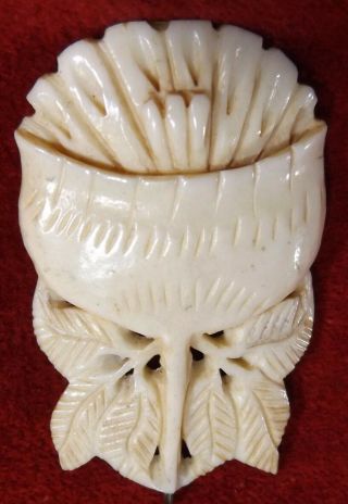 Gorgeous Near - Antique Carved Bone 2 - 1/4” X 1 - 3/8” Thistle Pendant