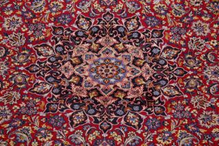 Traditional Oriental Rug Hand - Knotted Wool Collectible Home Decor Carpet 10 x 13 6