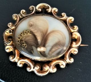 Antique Prince Of Wales Feathers & Pearls Hair Brooch
