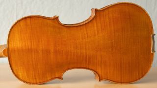 Old Violin 4/4 Geige Viola Cello Fiddle Label Johannes Cuypers