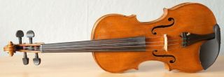 old violin 4/4 Geige viola cello fiddle label JOHANNES CUYPERS 2