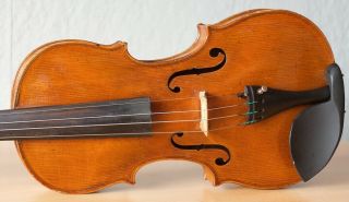 old violin 4/4 Geige viola cello fiddle label JOHANNES CUYPERS 3