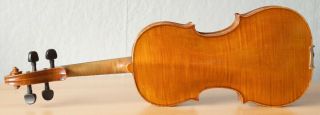 old violin 4/4 Geige viola cello fiddle label JOHANNES CUYPERS 7