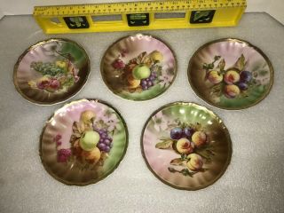 5 Antique C.  T.  German Hand Painted Saucers