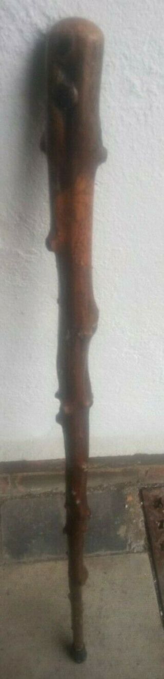 Wood,  Antique Irish Blackthorn Walking Stick/shillelagh,  1900’s