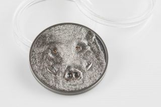 Mongolia 2018 500 Togrog Wild Boar – Sus scrofa 1oz Silver Antique Coin 2