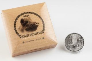 Mongolia 2018 500 Togrog Wild Boar – Sus scrofa 1oz Silver Antique Coin 3