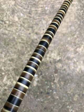 Antique Stacked Bovine Horn Sectional Discs Walking Stick - Flexible Cane 3