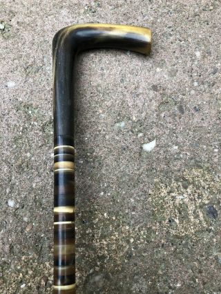 Antique Stacked Bovine Horn Sectional Discs Walking Stick - Flexible Cane 4