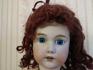 Vintage11 - 12 Gorgeous Mohair Doll Wig For Antique Bisque Doll