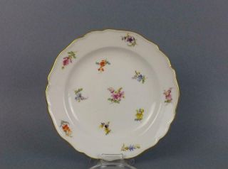 Antique Meissen Porcelain German Floral Plate Circa 19c