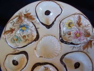 Antique Union Porcelain Oyster Plate Mussels Flowers 3
