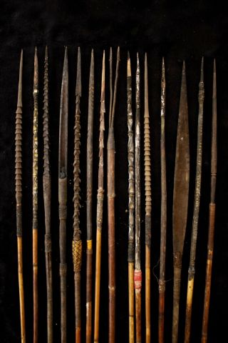 Group Of Fourteen Hunting Arrows - Highlands Papua Guinea 1970 