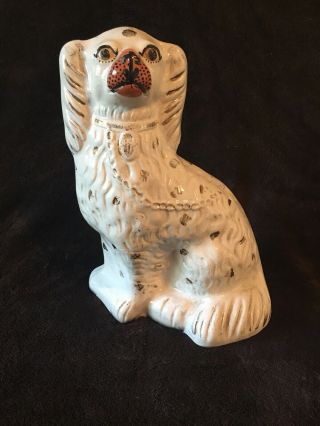 A Antique 19c English Staffordshire Dog With Gold Gilt Painted Accents