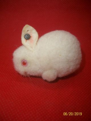 Antique Steiff White Woolen Bunny @1934 - 1942 Ff Button 4cm