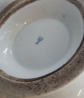 Antique Meissen Porcelain teapot Swan service Circa 1830 Biedermeier 5