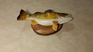 Jumbo Perch Wood Carving Fish Taxidermy Fish Decoy Casey Edwards 4