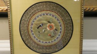 Vintage Asian Japanese Chinese Embroidered Silk Panel Framed Birds 3