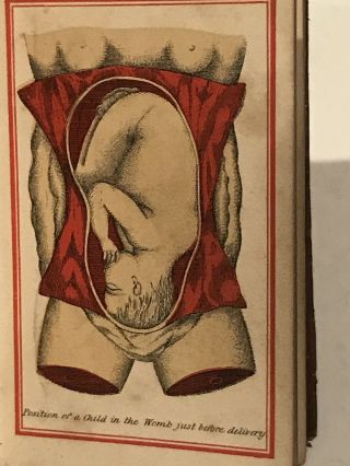 Antique “Aristotles Works” Edition Color Plates 1800’s Medical Book 7