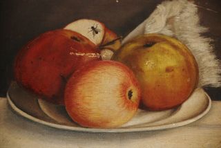 Antique Oil On Canvas Still Life With Apples And Fly