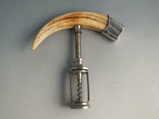Antique Sterling Silver Mounted Boar Tusk Corkscrew