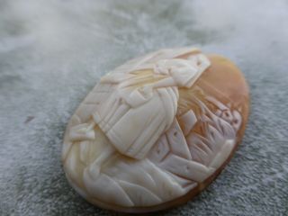 Fine Antique High Relief Carved Unmounted Cameo Shell Brooch 4