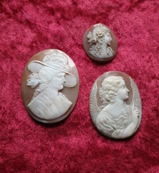3 Loose Antiques Victorian Cameo Plaques For Jewellery Brooches Etc