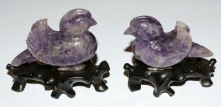 Two Matching Chinese Carved Amethyst Birds Mounted On Custom Wooden Bases