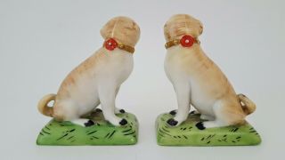 Fine Pair Antique 19th Century Derby / Derby Style Staffordshire Pug Dog Figures 2