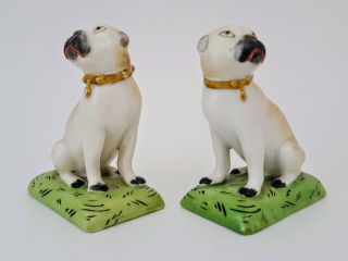 Fine Pair Antique 19th Century Derby / Derby Style Staffordshire Pug Dog Figures 6