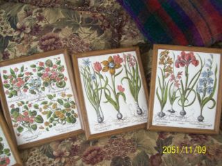 Cloth Arts & Craft Unique Stitching Set of 6 Vintage Flower Wall Hangings 3