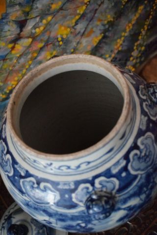 A Chinese Blue and White Porcelain Vase Decorated With Cranes 6