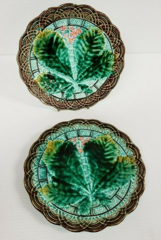 Pair: Antique Villeroy & Boch V B Begonia Green Majolica Plates Chestnut Leaves