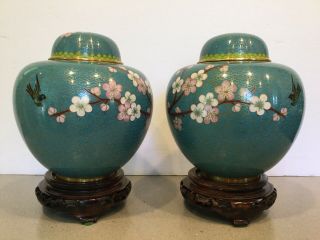 Pair Antique Vtg Chinese Cloisonné Enameled With Floral Birds Ginger Jars 7.  5 "