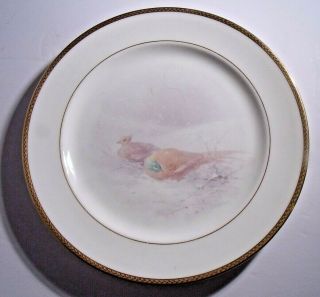 Antique Lenox Game Plate,  Pheasant,  Signed Morley