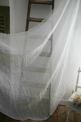 Antique French Pure Long Wedding Veil Linon C1900