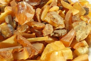 Antique Baltic Natural Amber Raw Stones Cuts 187 Grams,  No Customs Worldwide Tax