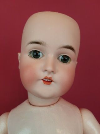 Antique German Bisque Socket Head Doll Queen Louise 100 Jointed Body 23 Inch