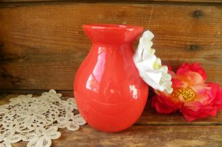 Vintage Retro Large White Poppy Flower Floral Red Orange Flowers Vase Pot Plant 4