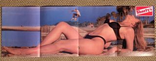Vintage Skateboarding Poster - Shortys / Shorty`s - Rosa - Big Brother Fold Out