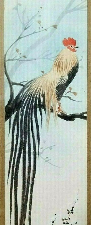 Antique Chinese Watercolor Painting Scroll Rooster C.  1890 - 1920,  Marked,  16 " X 5 "