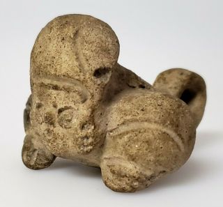 Authentic Antique Pre - Columbian Pottery Tumaco - Tolita Culture Metamorphic Figure