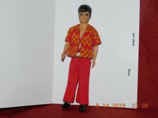 Vintage 1970 Palitoy Pippa ' s Boyfriend Pete Doll With Outfit an Shoes 2