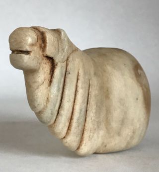 Pre - Columbian Votive Container Carved Stone Conopa Inca Animal Figure
