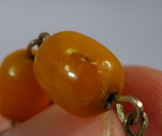 FINE ANTIQUE STRING OF BALTIC BUTTERSCOTCH AMBER BEADS (22) GOOD COLOUR 4
